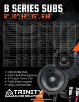 Factory Refurbished B Series 12" Subwoofer