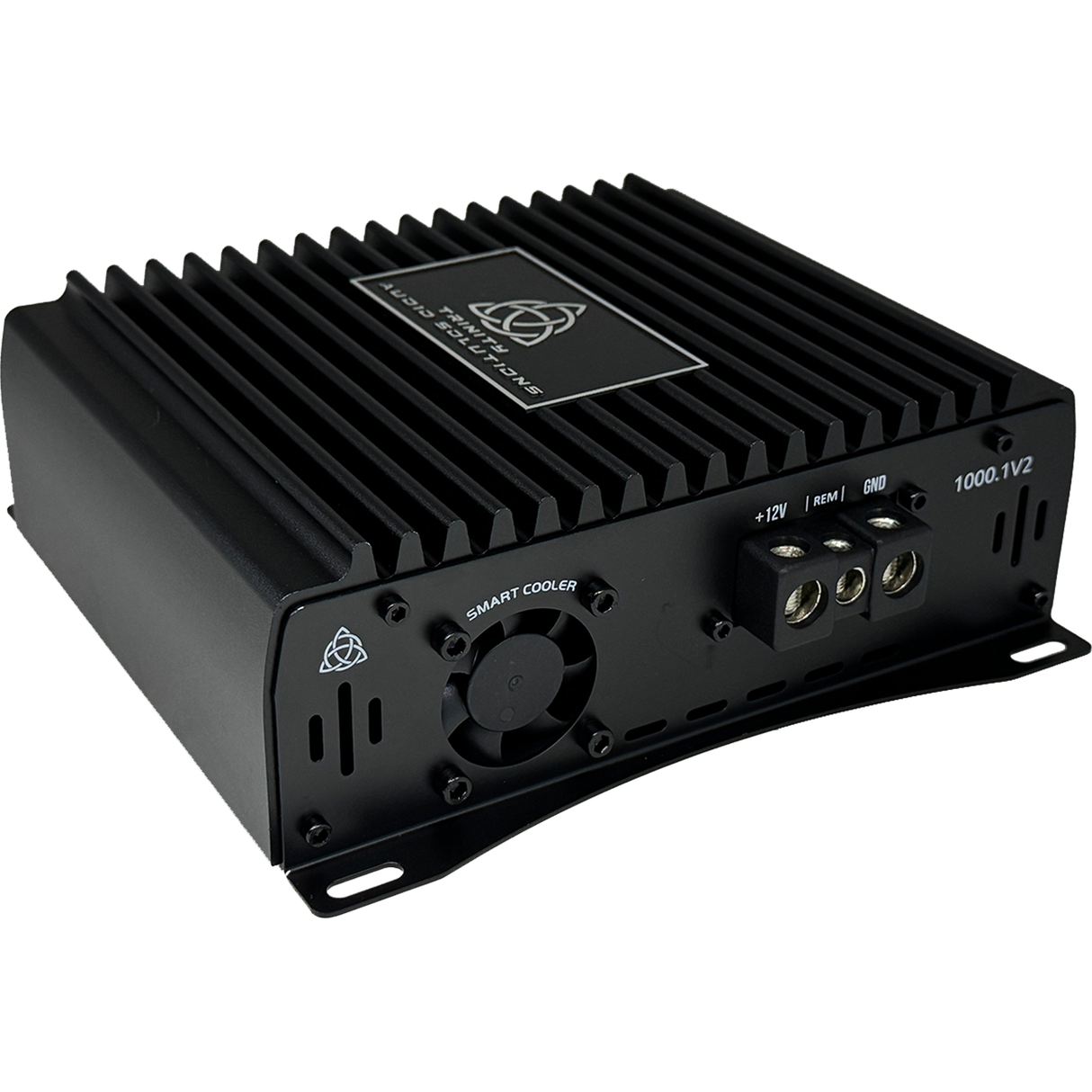 ***NEW*** Trinity Audio Solutions 1000.1v2 1,000 Watt D Class Monoblock Amplifier